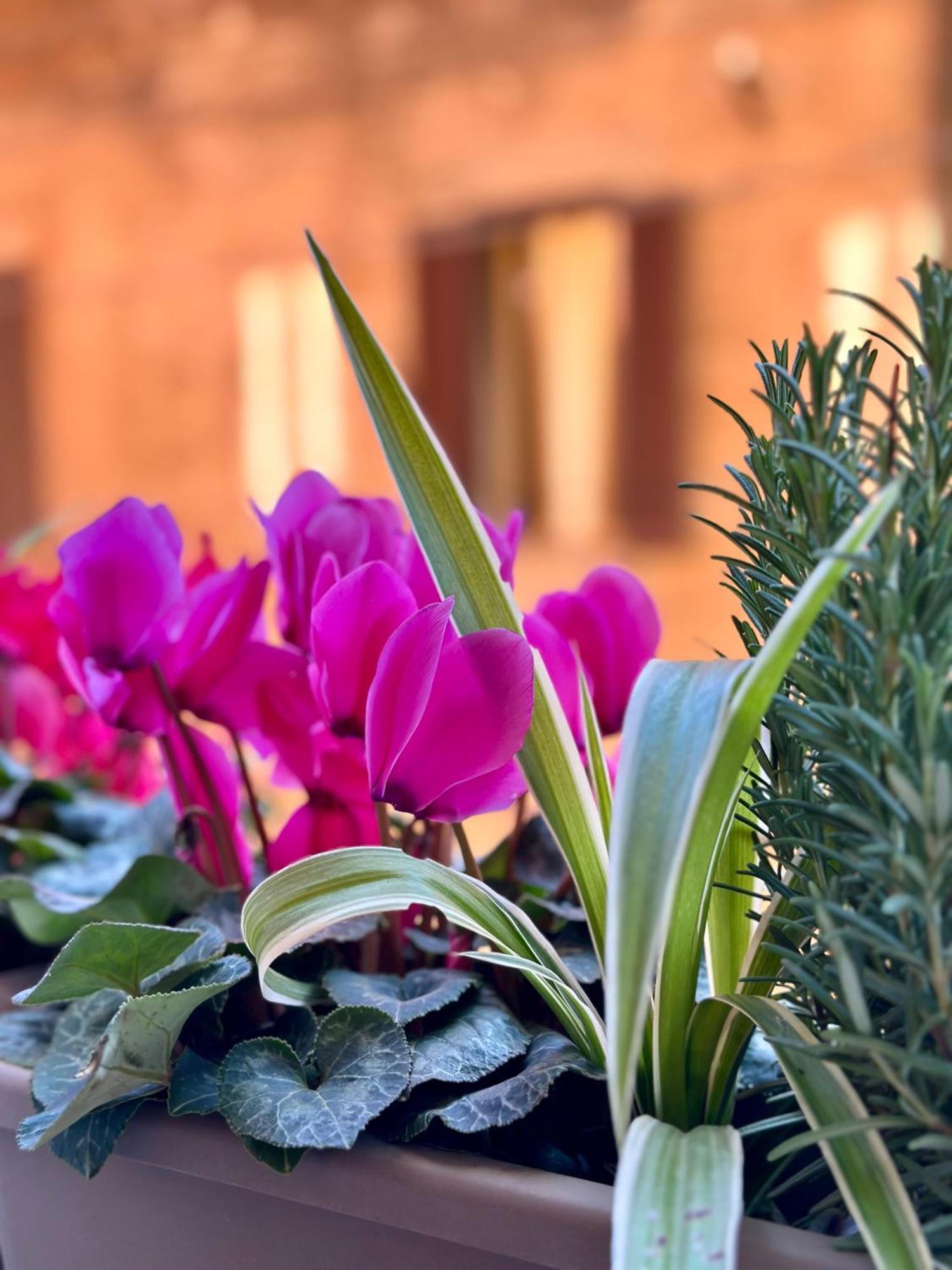 Casa Belfiore Lägenhet Bologna Exteriör bild